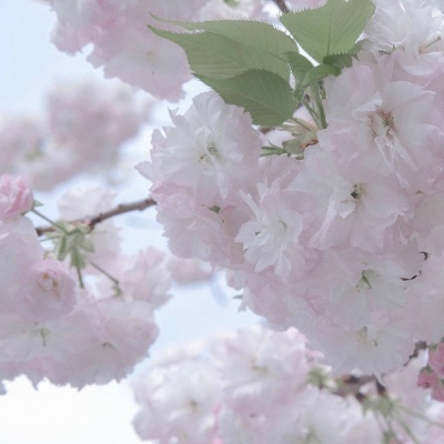 会宁FurryQQ群介绍